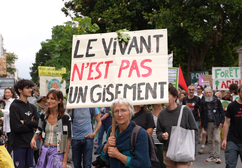 manifestation Pau protection forêts
