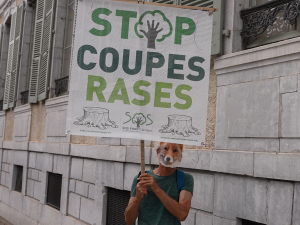 photo manifestation Pau coupe foret