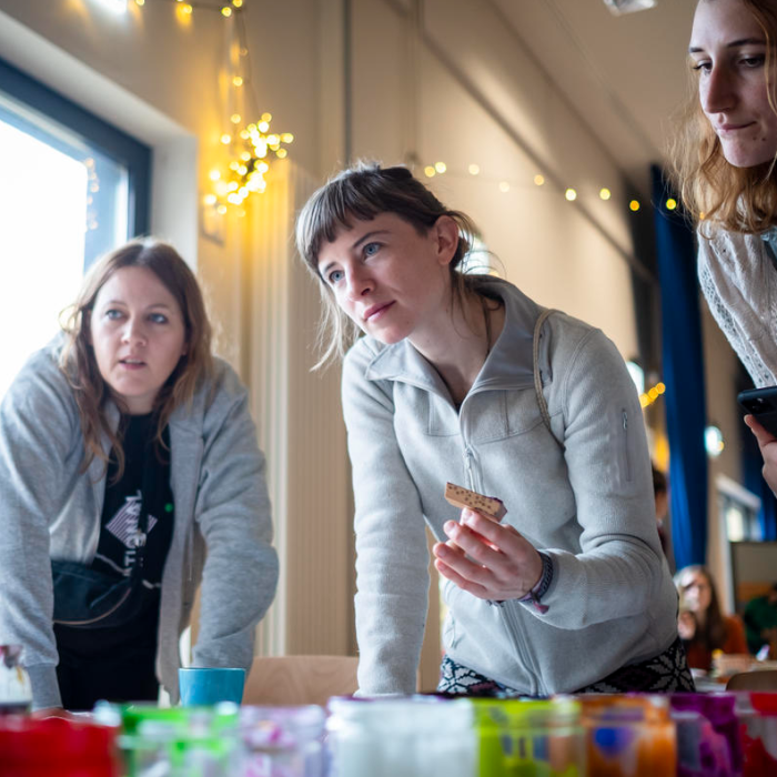 Greenvoice réunion militantes